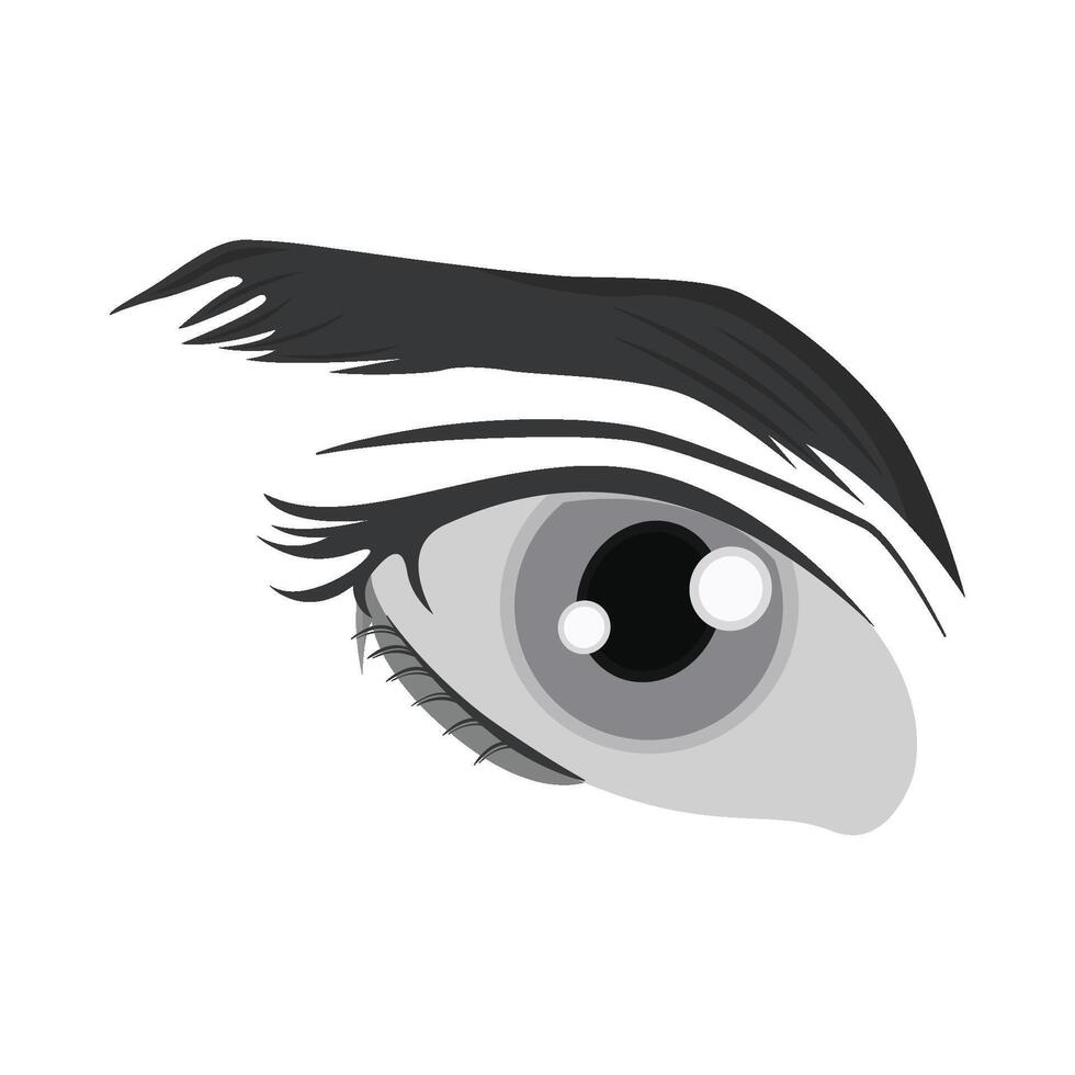 illustration av öga vektor
