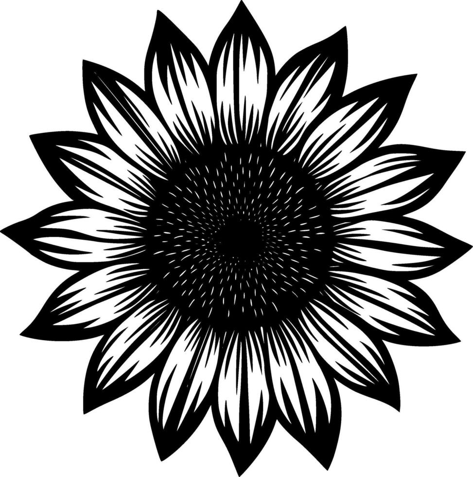 solros - svart och vit isolerat ikon - illustration vektor