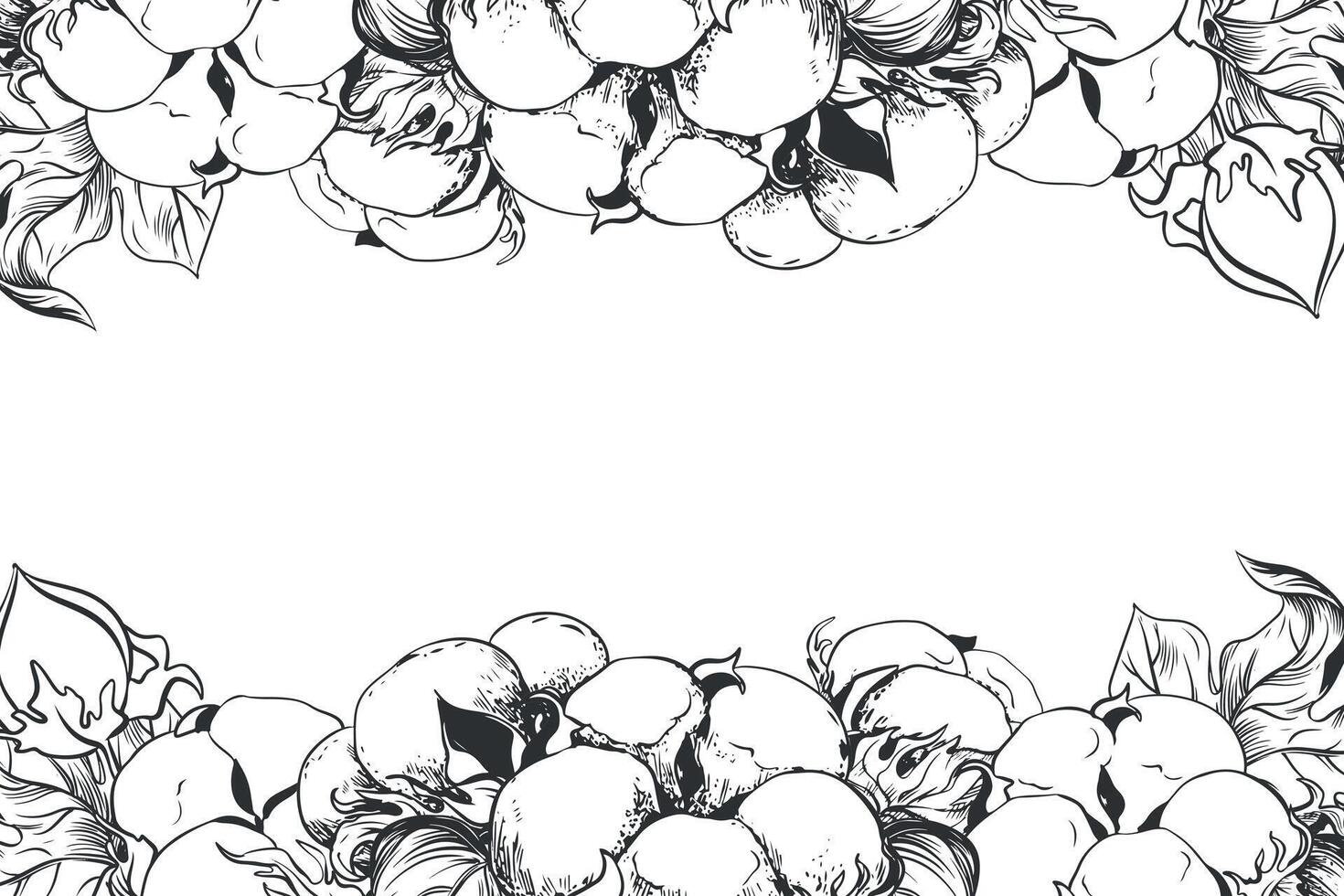 rektangulär horisontell ram med bomull blommor och Plats för text. linjär skiss av vit bomull bollar, löv och grenar. retro bläck illustration. design för märka, märka, bröllop inbjudan. vektor