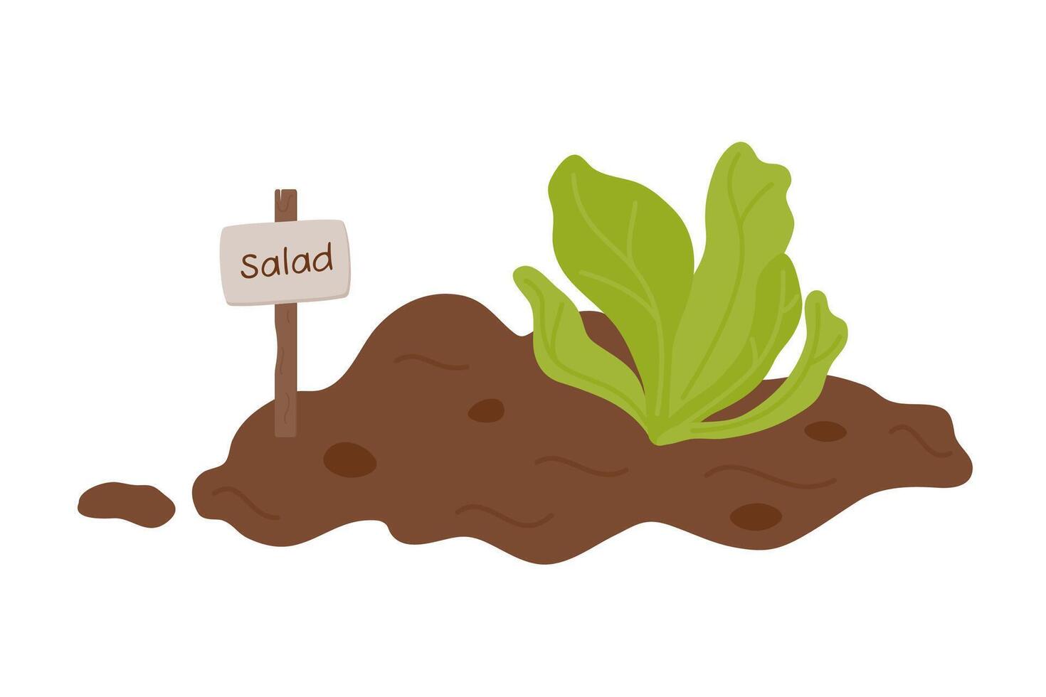 Sämlinge. wachsend Pflanzen. Grüner Salat wächst aus von das Boden. Pflanzen Pflanzen. vektor