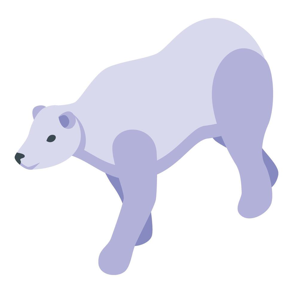 vit polär Björn ikon isometrisk . is Pol djur- vektor