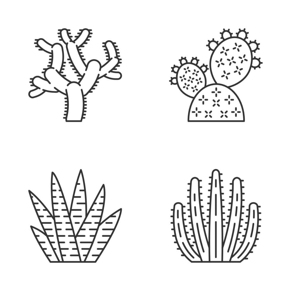 vilda kaktus linjära ikoner set. gröna suckulenter. exotisk mexikansk flora. chola, prickly pear, zebrakaktus, orgelpipskaktus. tunn linje kontur symboler. isolerade vektor kontur ikoner. redigerbar linje