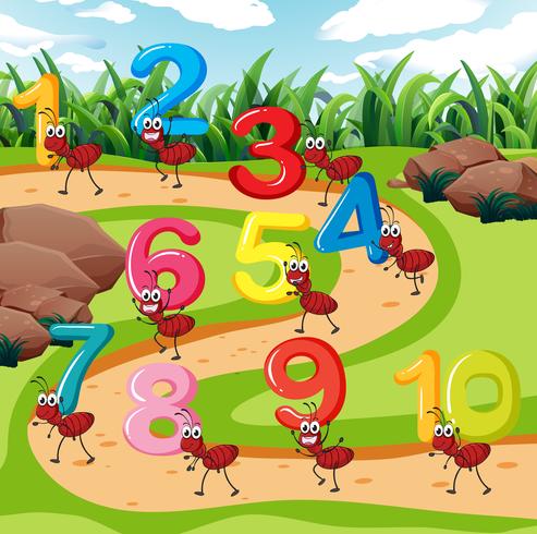 Zehn Ameisen tragen Nummer vektor