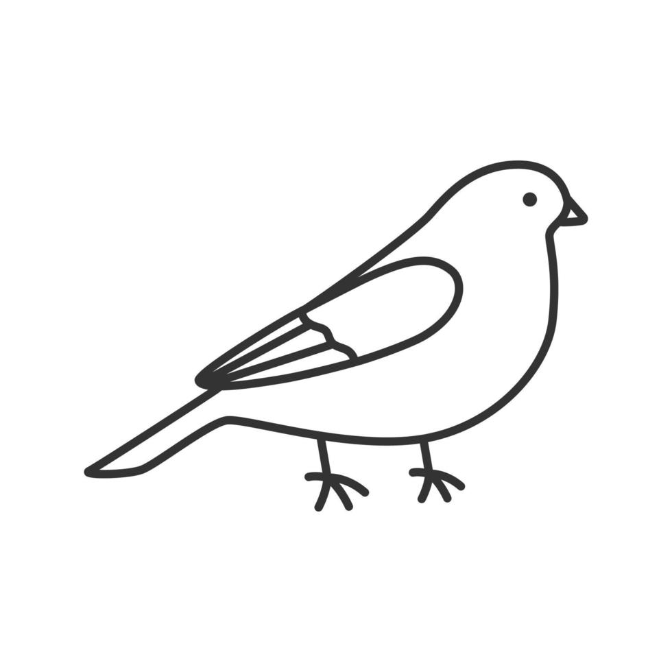 Kanarienvogel lineares Symbol. dünne Linie Abbildung. Singvogel. Kontursymbol. Vektor isolierte Umrisszeichnung