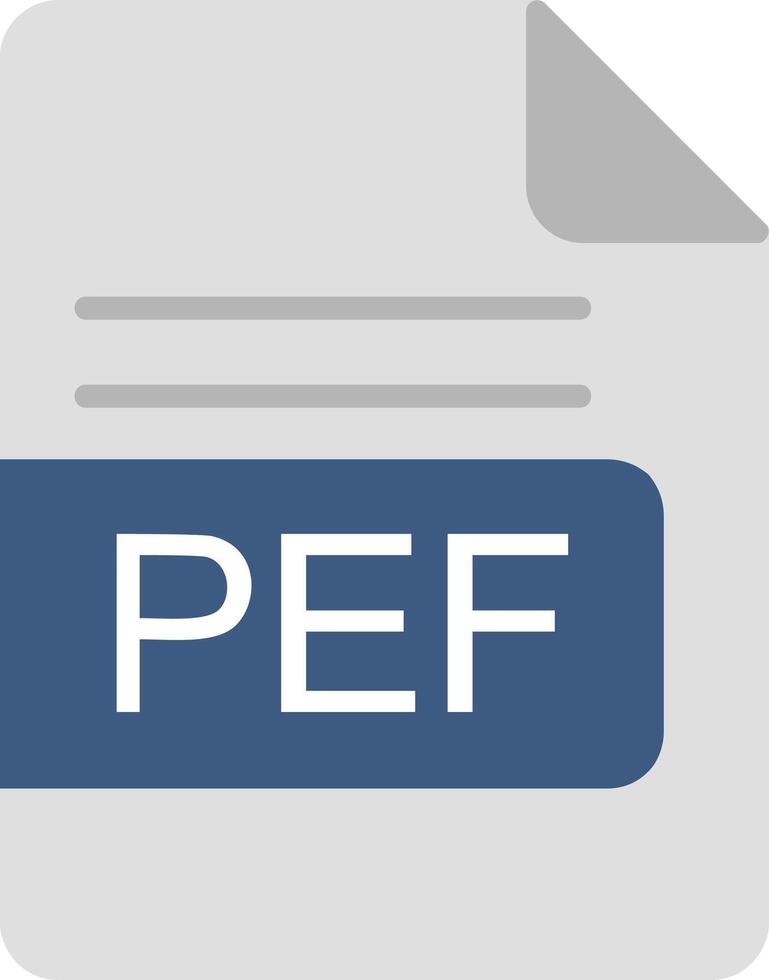 pef Datei Format eben Symbol vektor