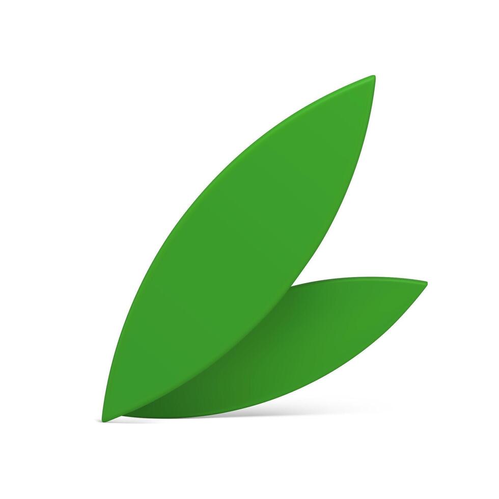 grön bio löv naturlig botanisk lövverk sommar vår miljö 3d ikon realistisk vektor