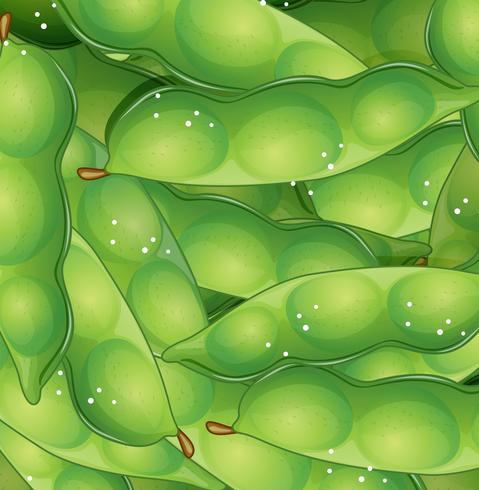 Nahtlose Schablone der organischen grünen Erbse vektor