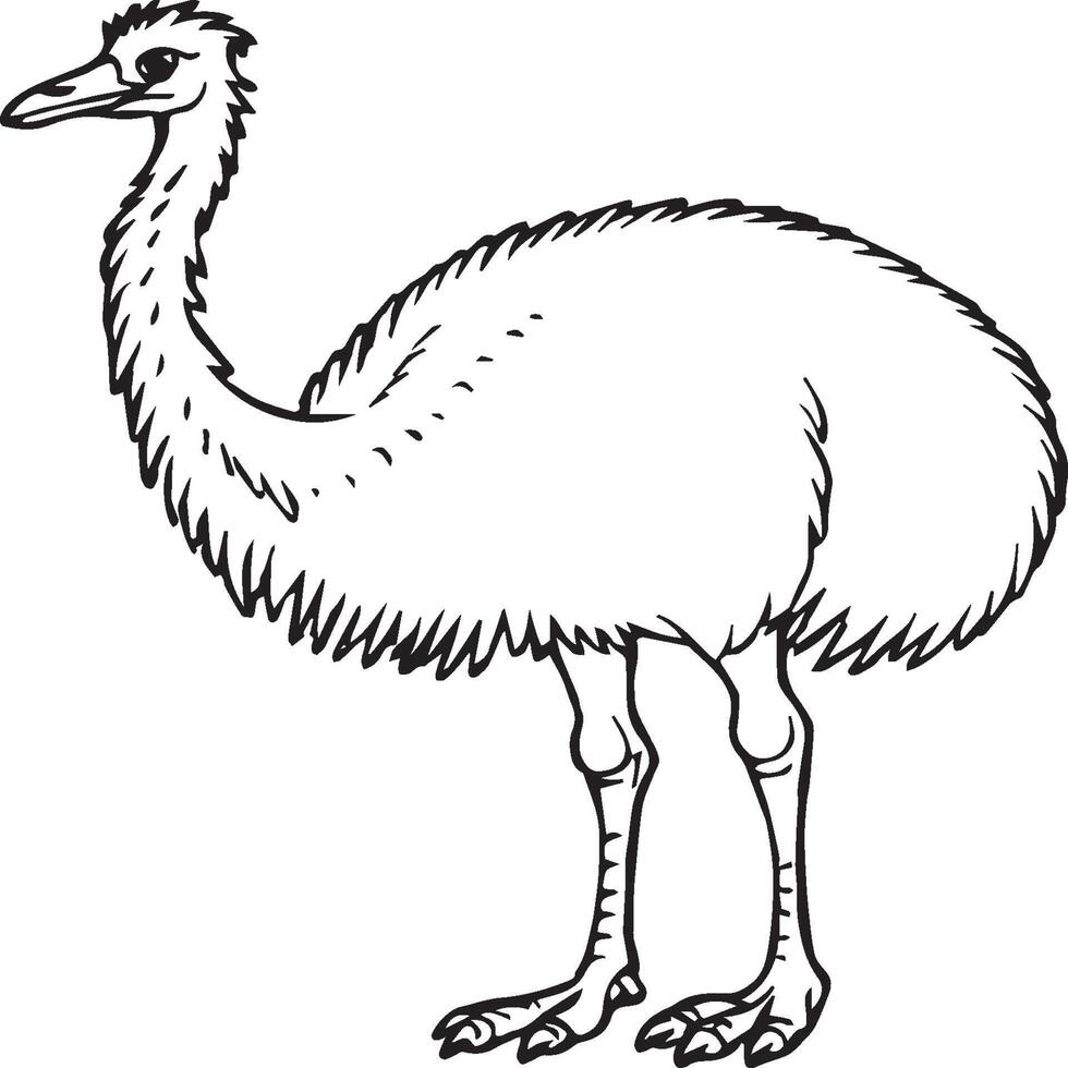 emu fågel färg sidor för färg bok vektor