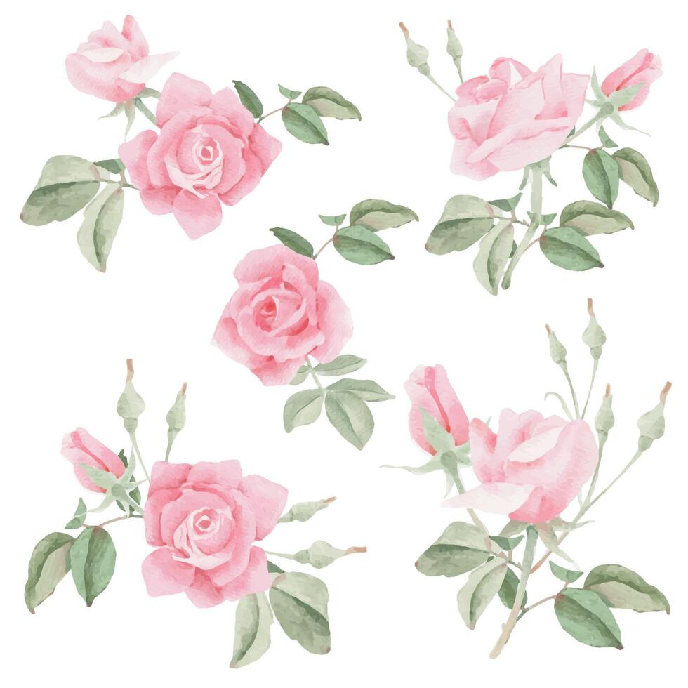 Aquarell Rosa Rose Blume Strauß Kranz Rahmen Sammlung vektor