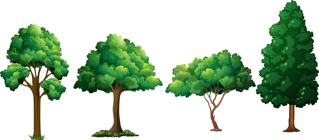Set med olika träd vektor