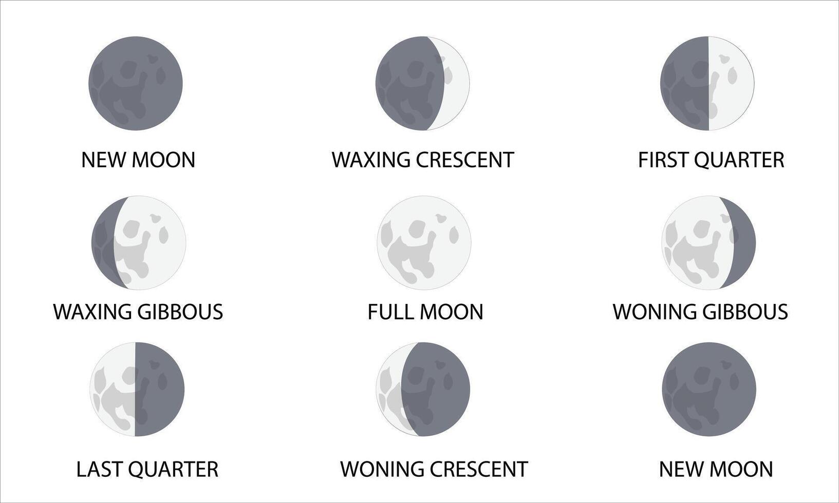 faser av måne, uppsättning, från ny måne till ny måne vektor