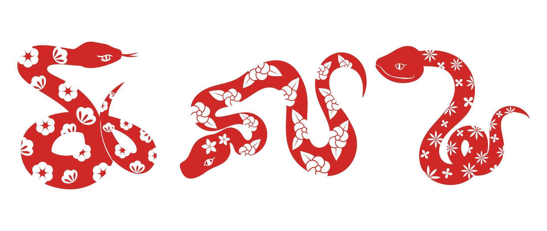 kinesisk ny år orm design uppsättning. element zodiaken tecken år av de orm med körsbär blomma blomma mönster på orm röd Färg. illustration design av bakgrund, kort, klistermärke, kalender. vektor