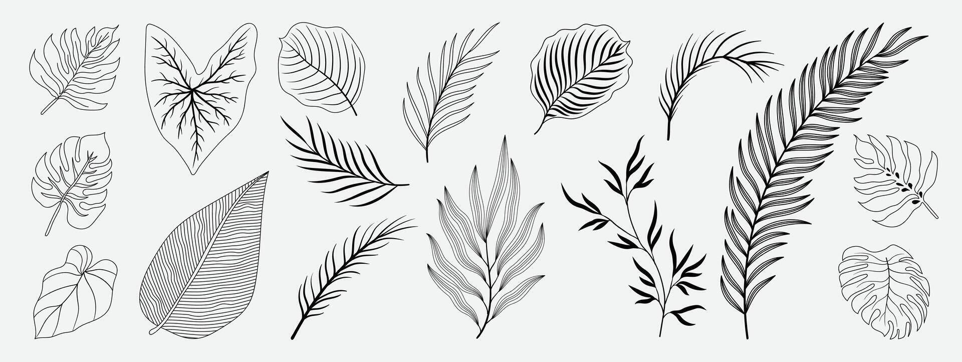 tropisk löv hand dragen linje konst och silhuett uppsättning. samling av blad gren, monstera, handflatan löv svart vit teckning kontur enkel stil. design illustration för skriva ut, logotyp, varumärke. vektor