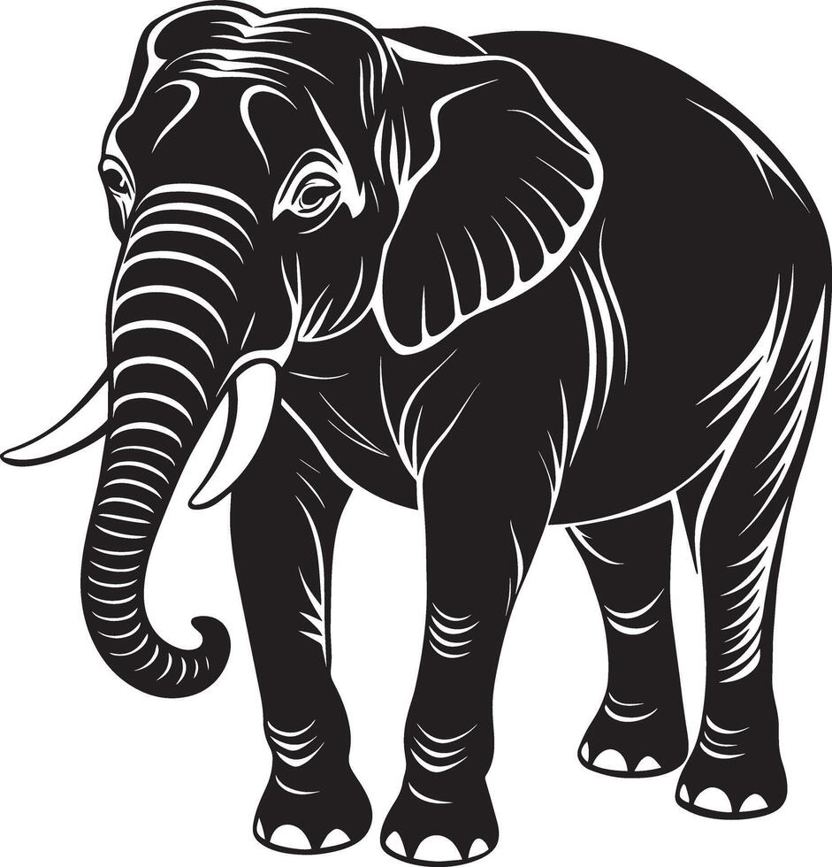 elefant - svart och vit illustration för tatuering eller t-shirt design vektor
