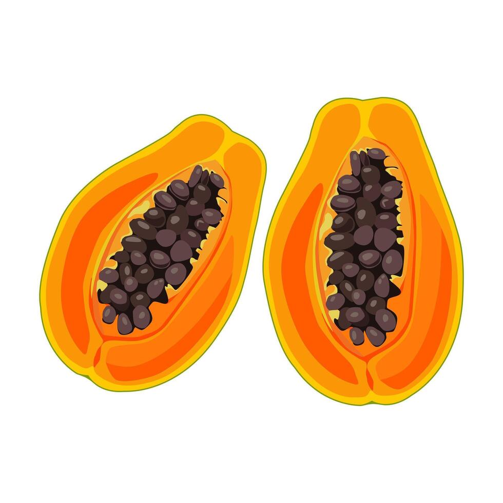 saftig und gesund Gelb Orange Schnitt Papaya mit Grün Blätter. isoliert Illustration auf Weiß Hintergrund. Sommer- Obst zum eben Design von Karte, Banner, Flyer, Verkauf, Poster, Symbole vektor