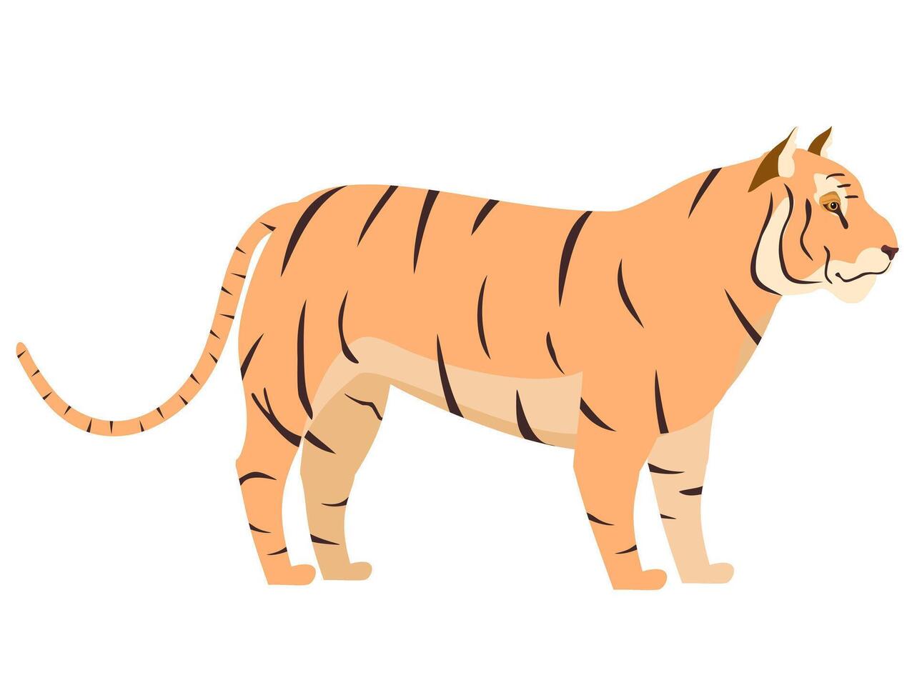 tiger platt design. skog skog djur. afrikansk fauna vektor