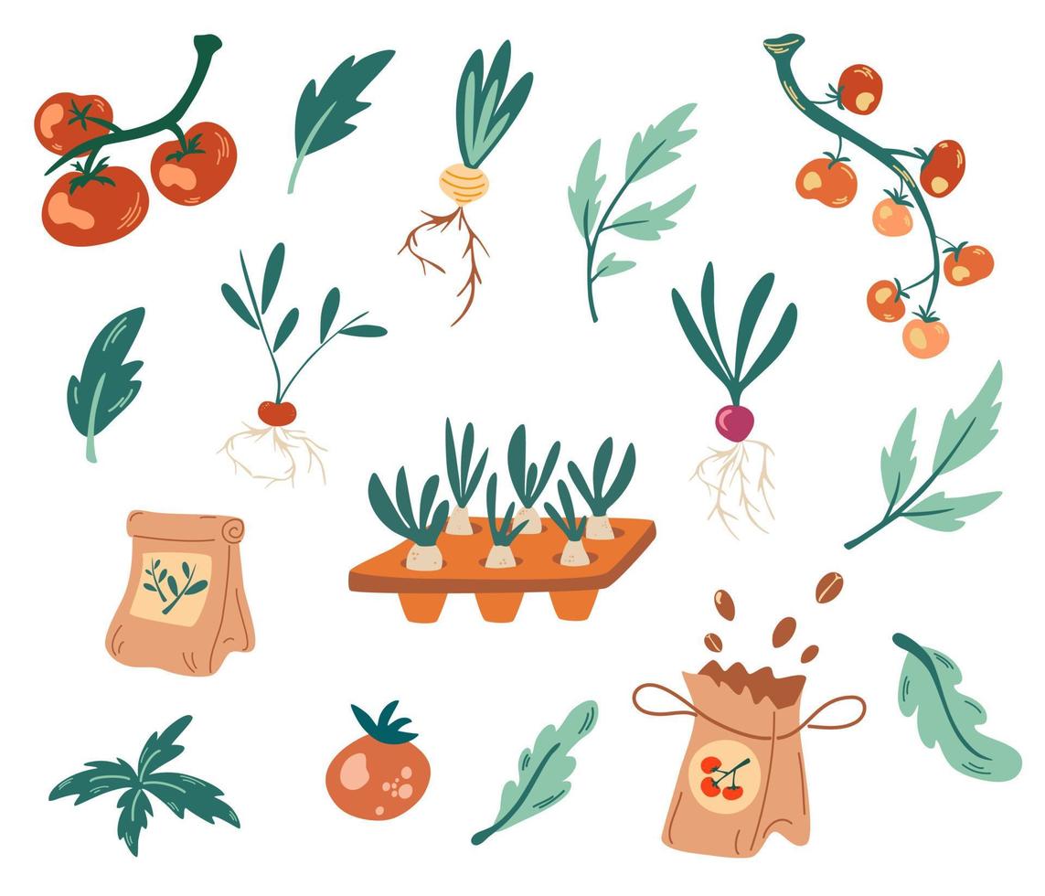 set med plantor. frön, gödningsmedel, plantor, tomater, rotfrukter. odla växter i behållare. trädgårdsarbete, vårplantor, odling av grönsaker. hand rita vektorillustration. vektor