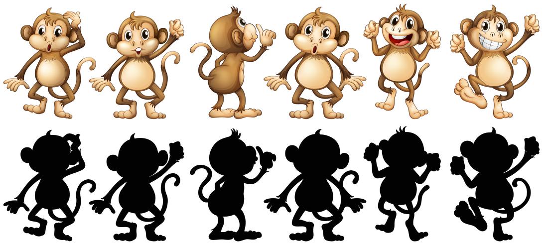 Affen und ihre Silhouette in verschiedenen Pfosten vektor