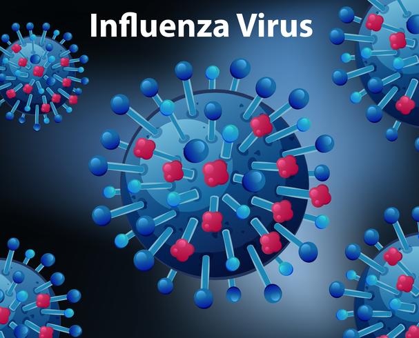 Schließen Sie herauf Diagramm für Influenzavirus vektor