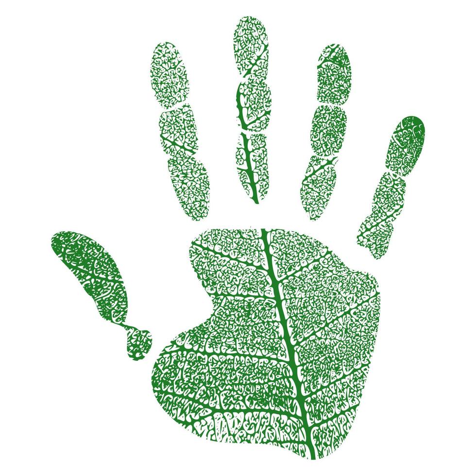 avtryck av en mänsklig palm med ett mönster av ett grönt blad av ett träd isolerad på vit bakgrund. vektor