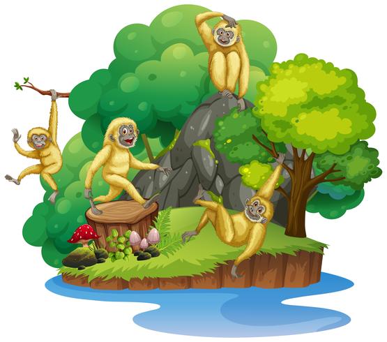 Schimpanse auf der isolierten Insel vektor
