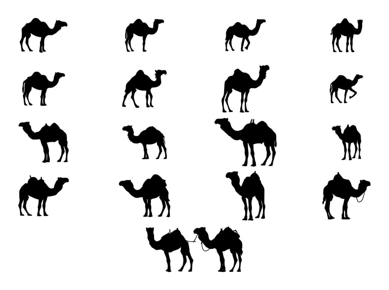 Sammlung von Kamel Symbol. Kamel Silhouette vektor