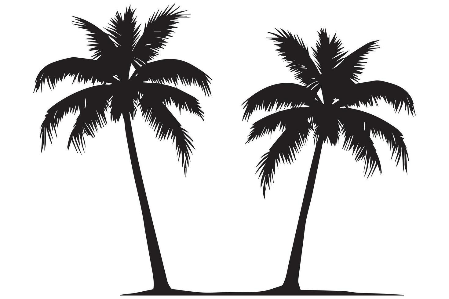 detta uppsättning av detaljerad handflatan och kokos träd silhuett illustrationer vektor