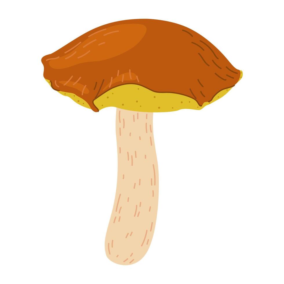 suillus Pilz. essbar Pilz. Hand gezeichnet modisch eben Stil isoliert auf Weiß Hintergrund. Herbst Wald Ernte, gesund organisch Essen, Vegetarier Lebensmittel. vektor