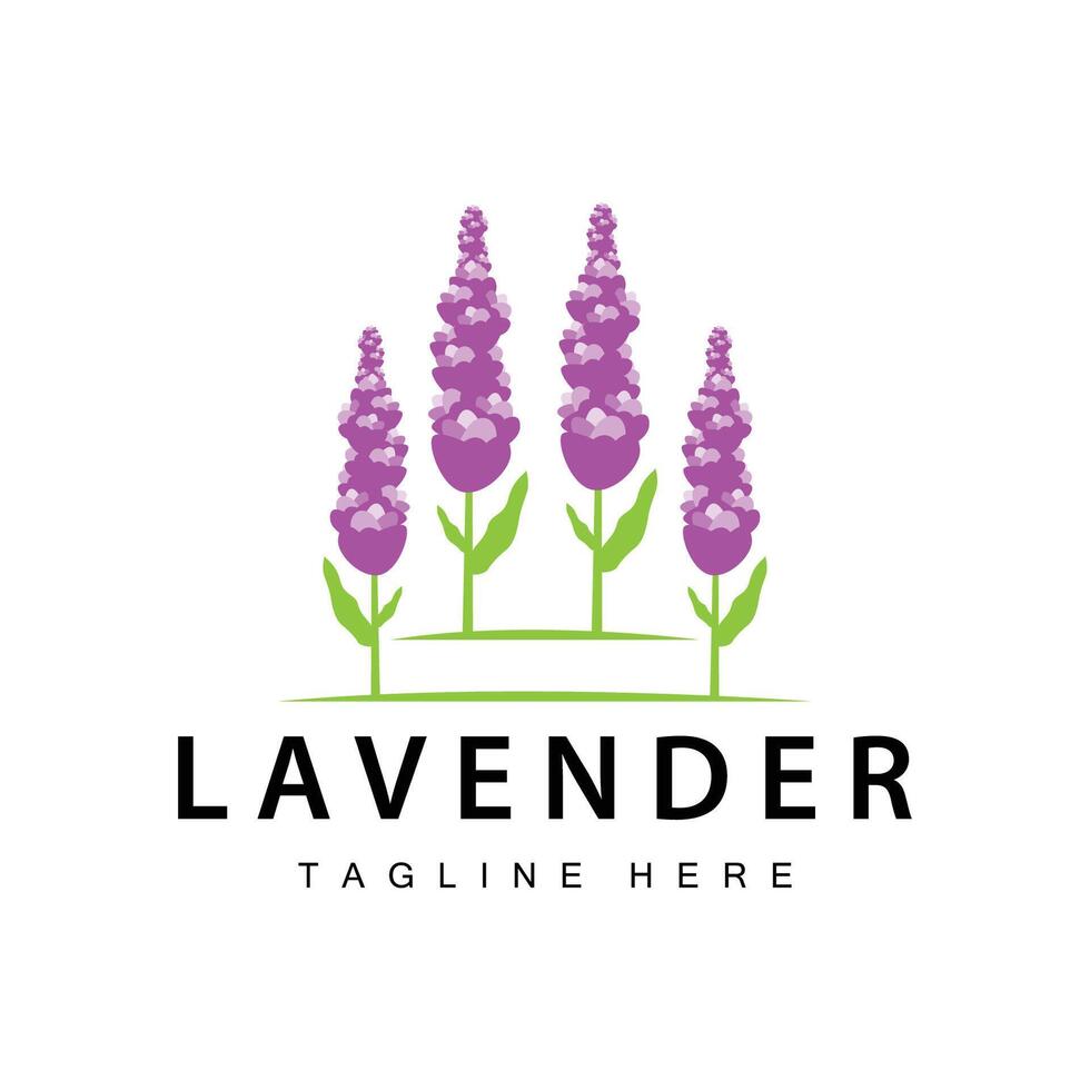 Lavendel Logo einfach Design kosmetisch Pflanze lila Farbe und Aromatherapie Lavendel Blume Garten Vorlage vektor