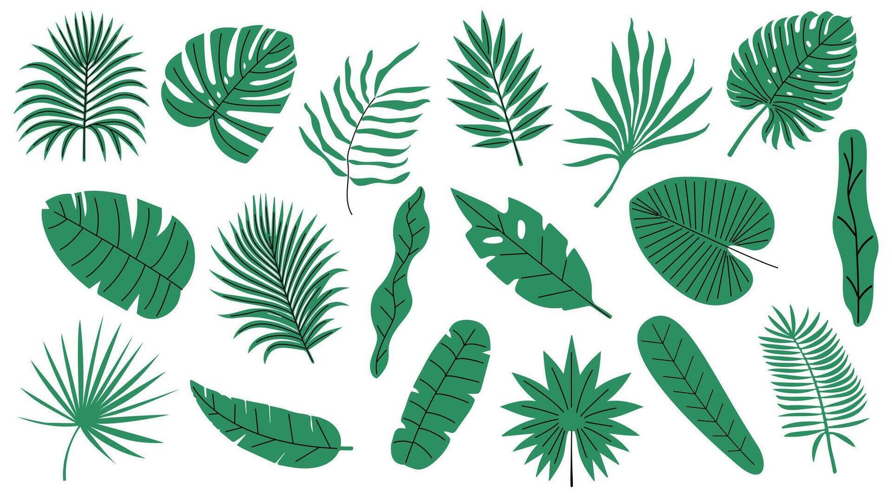 uppsättning av tropisk och handflatan löv. silhuetter grön grenar, löv i minimalistisk platt stil. hand dragen illustration. exotisk design med löv på vit bakgrund. vektor