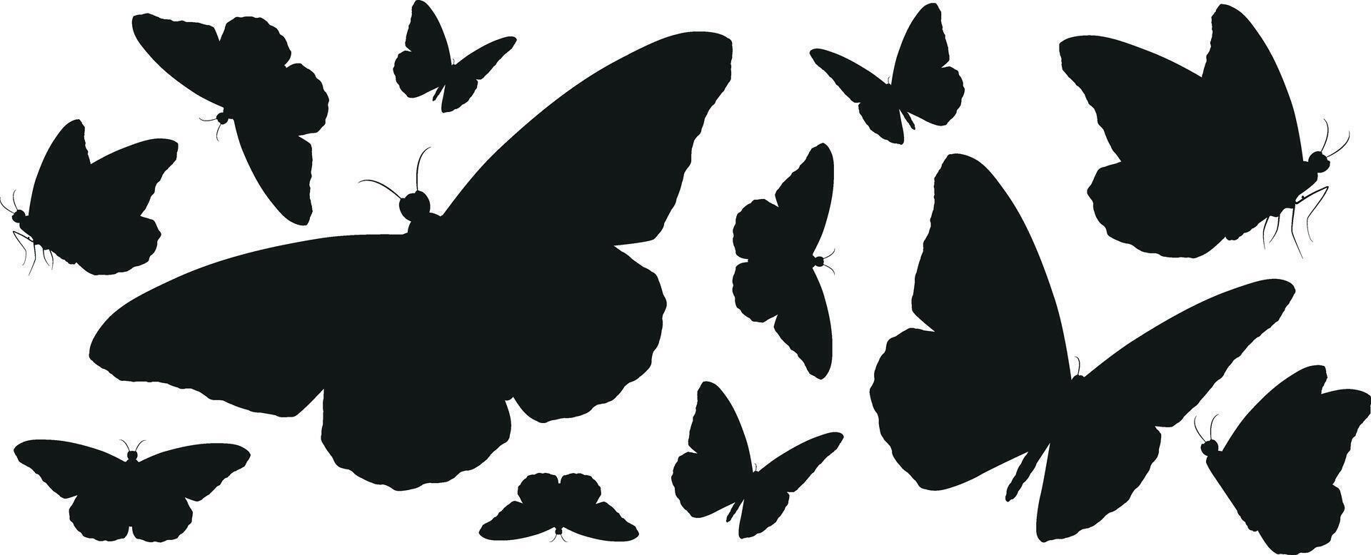 en samling av fjärilar med en vit bakgrund vektor