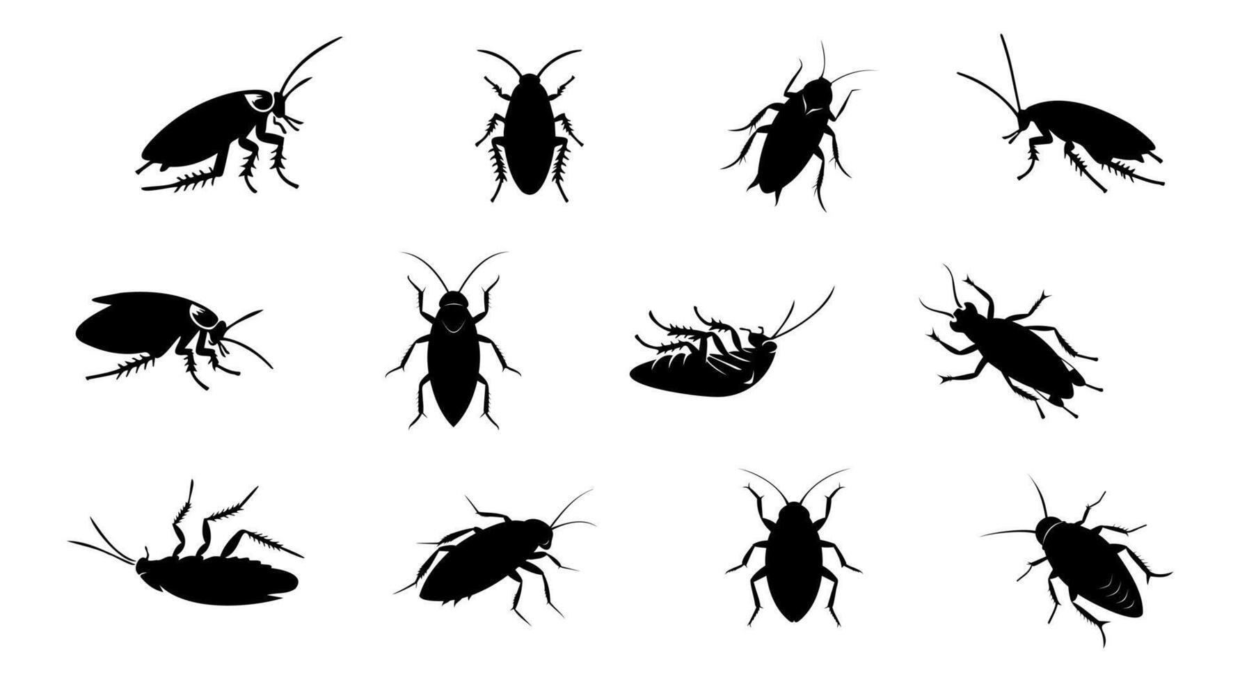 uppsättning av svart silhuetter av kackerlackor isolerat på vit bakgrund. svart och vit illustration. ikon, tecken, piktogram. skadedjur kontrollera och angrepp begrepp för design, skriva ut, pedagogisk material vektor