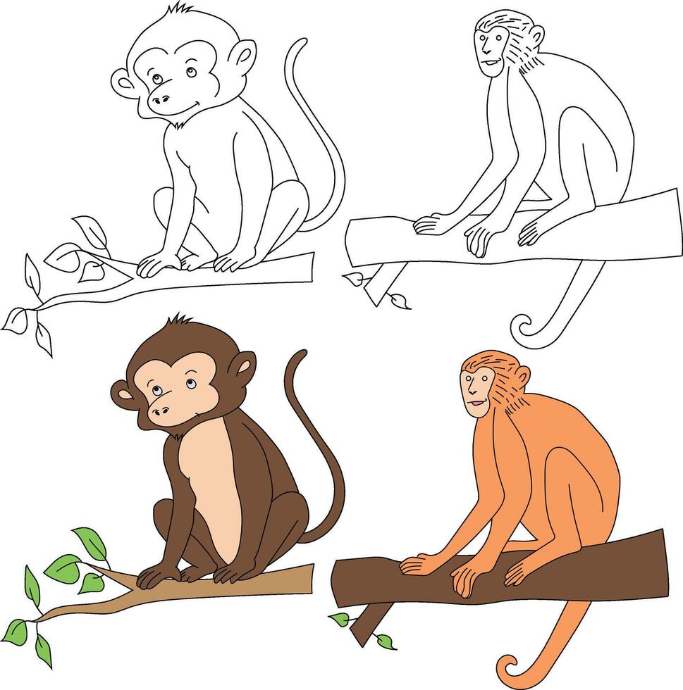 apa ClipArt. vild djur ClipArt samling för älskande av djungler och vilda djur och växter. detta uppsättning kommer vara en perfekt tillägg till din safari och zoo-tema projekt. vektor