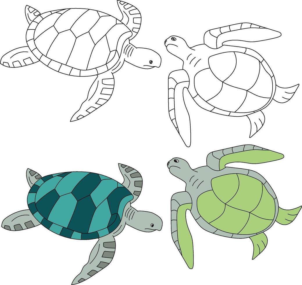 Meer Schildkröte Clip Art. Wasser- Tier Clip Art zum Liebhaber von unter Wasser Meer Tiere, Marine Leben, und Meer Leben vektor