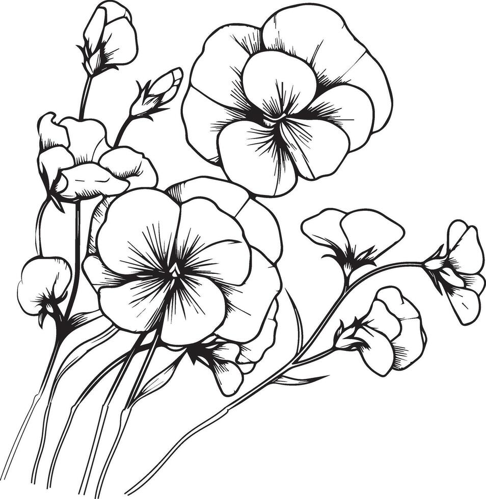 schwarz und Weiß Süss Erbse botanisch Illustration, einfach Süss Erbse Blume Zeichnung, tätowieren einfach Süss Erbse Zeichnung, Süss Erbse tätowieren schwarz und Weiss, Handgelenk Süss Erbse tätowieren schwarz und Weiß vektor