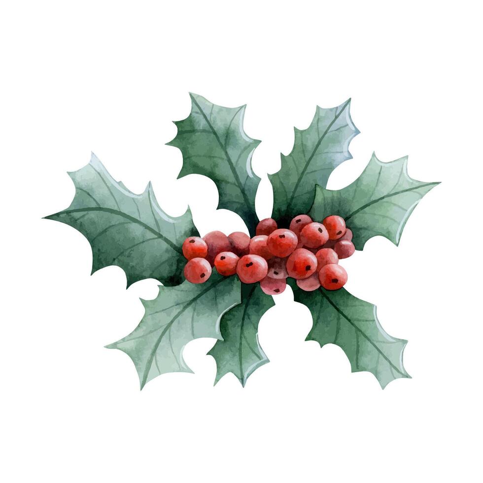 Weihnachten Stechpalme Pflanze mit rot Beeren und Grün Blätter Aquarell Illustration. Hand gezeichnet Winter Urlaub Jahreszeit Symbol vektor