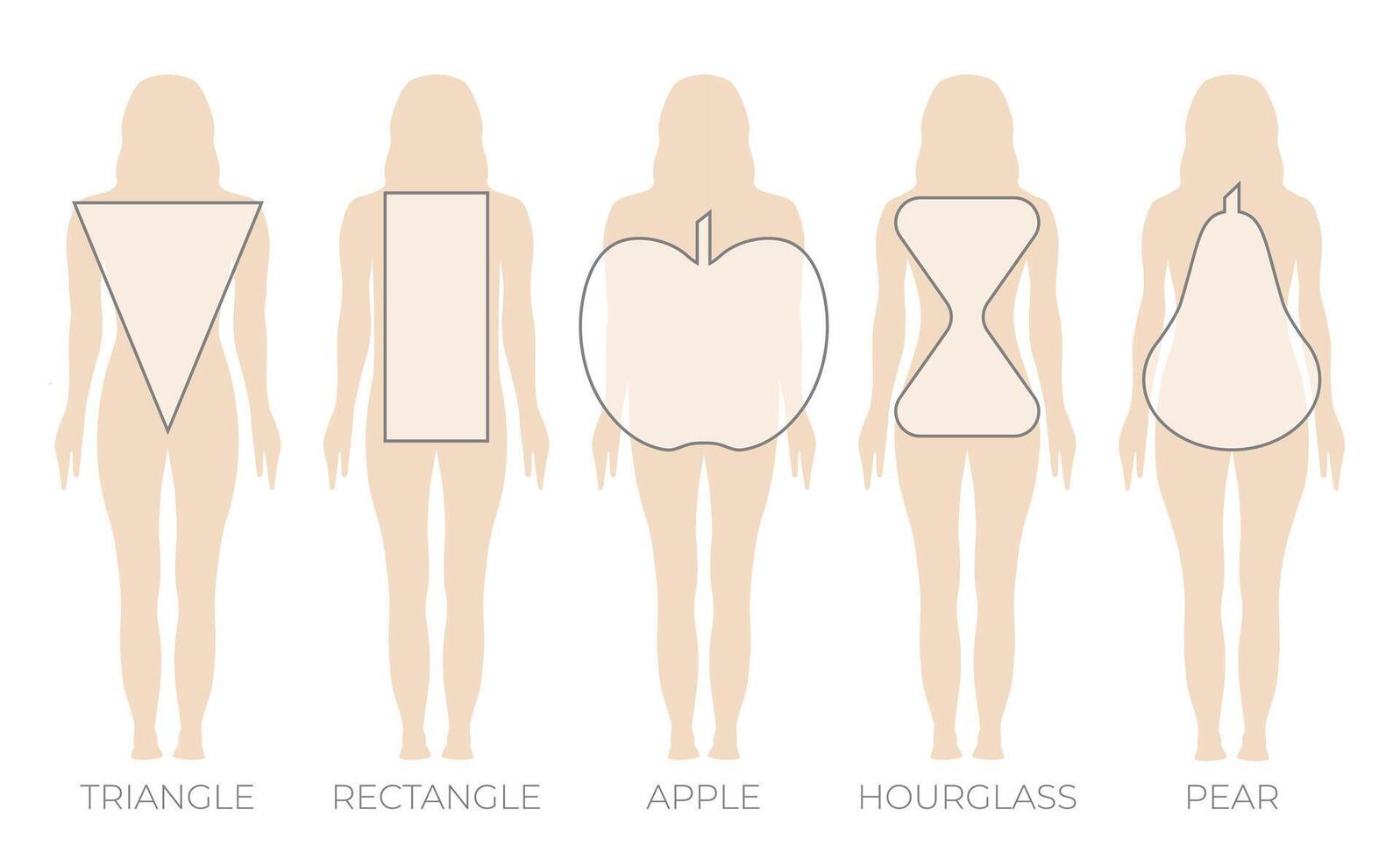 Frau Körper gestalten Dreieck, Rechteck, Apfel, Birne und Sanduhr vektor