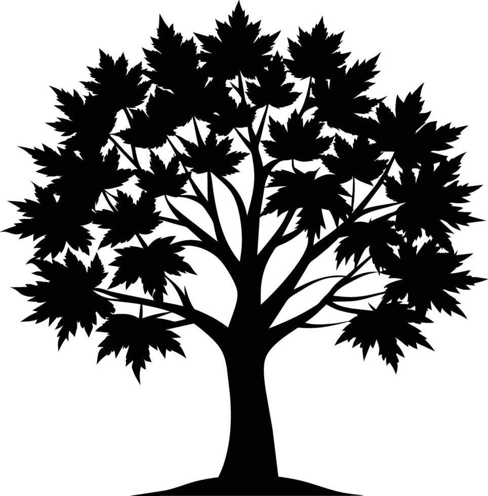 en svart och vit silhuett av en lönn träd vektor