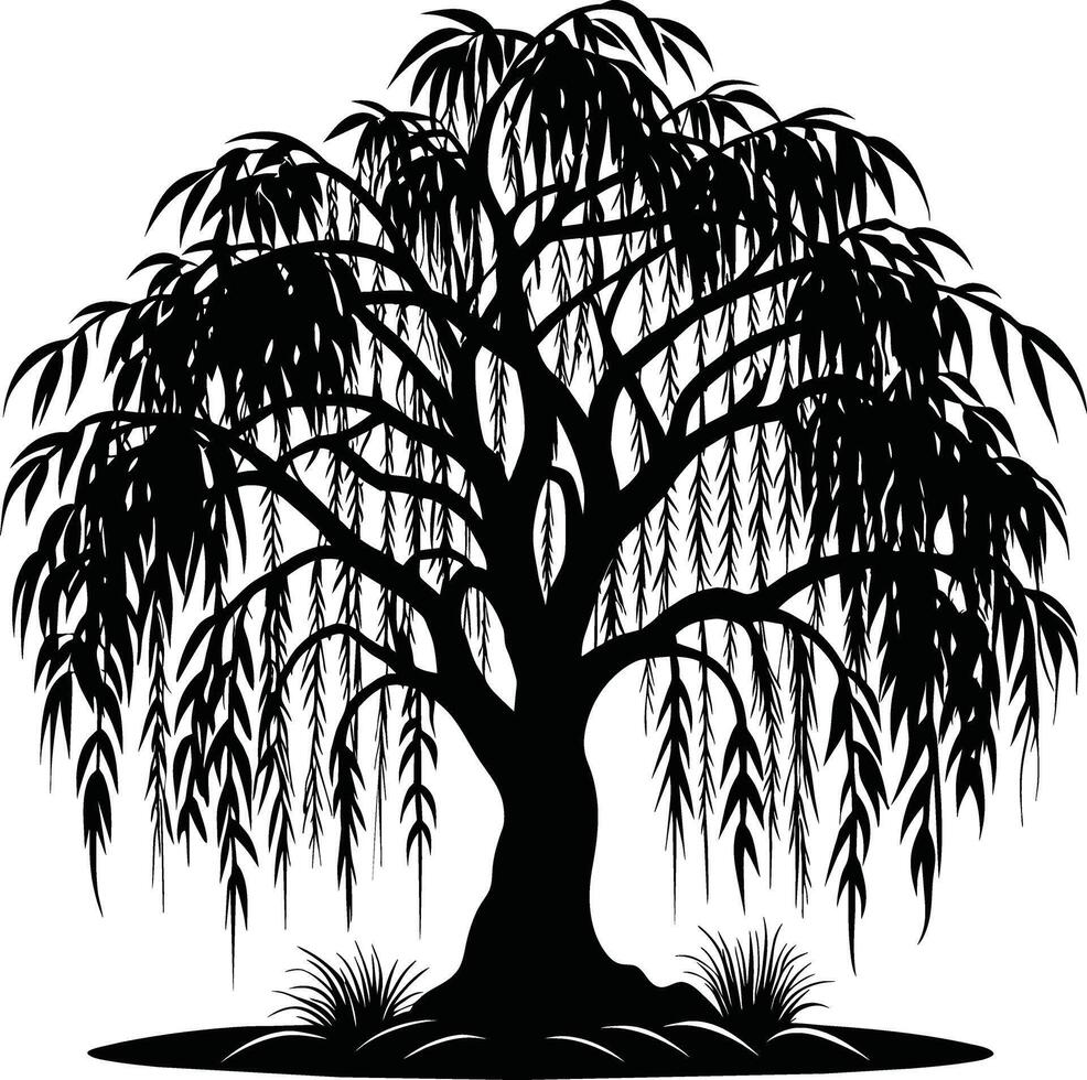 ein schwarz und Weiß Silhouette von ein Weide Baum vektor