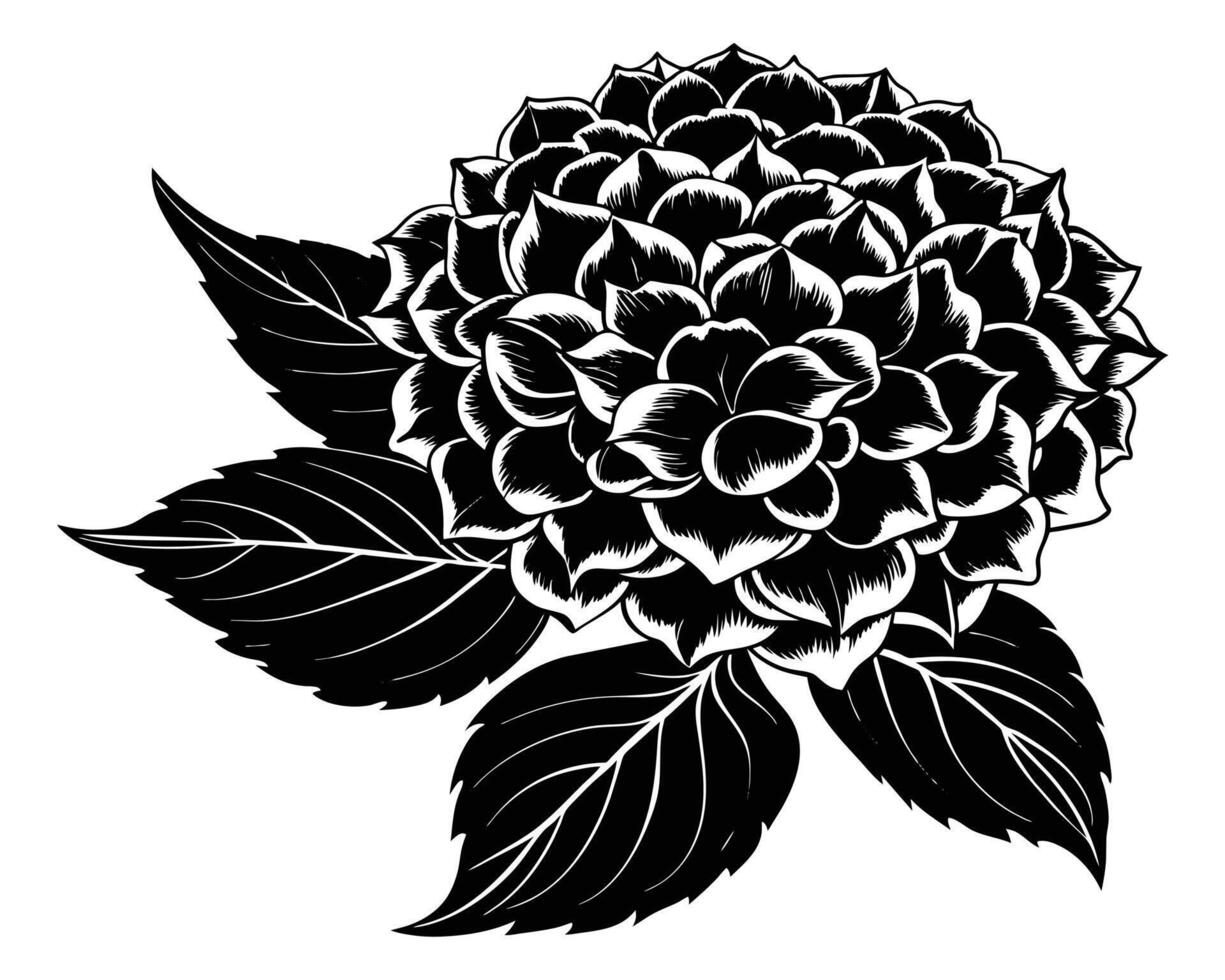 Protea Blumen schwarz Silhouetten vektor