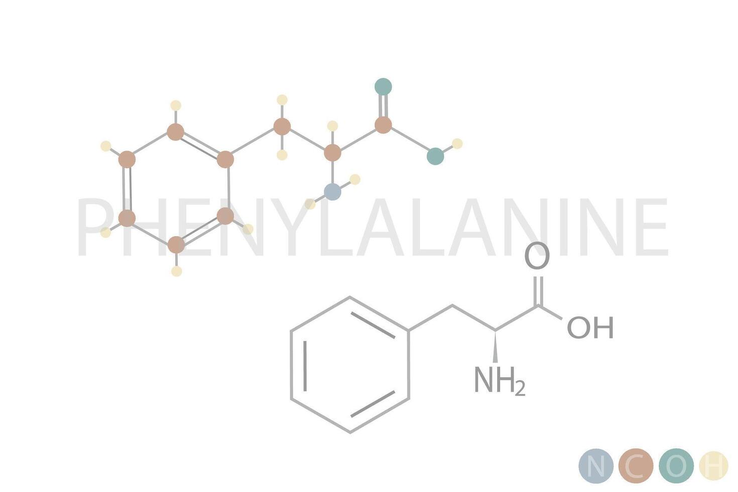 fenylalanin molekyl skelett- kemisk formel vektor