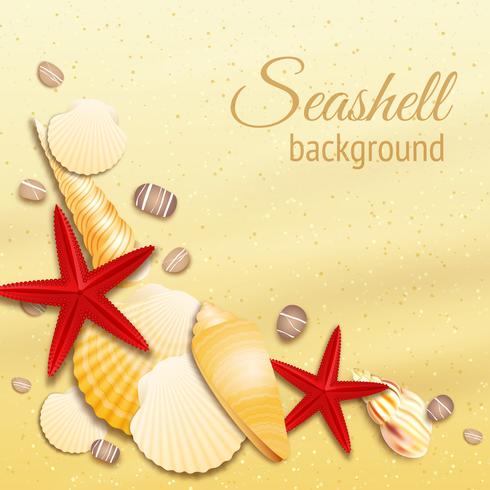 Seashell sand bakgrundsaffisch vektor