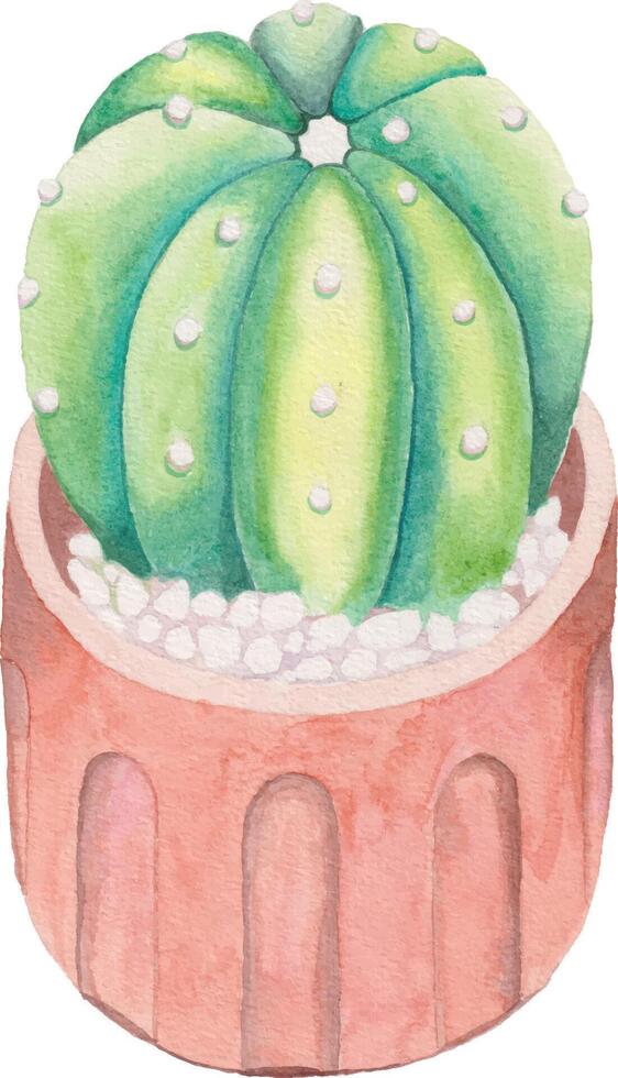 süß Aquarell Kaktus Clip Art - - herunterladen saftig Illustration vektor