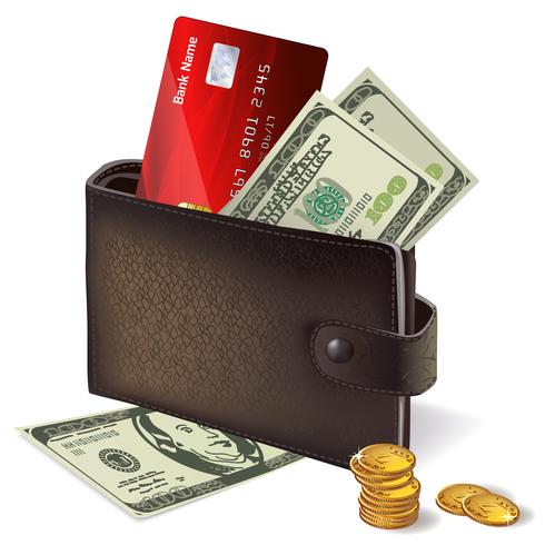 Plånbok med kreditkort sedlar och mynt vektor