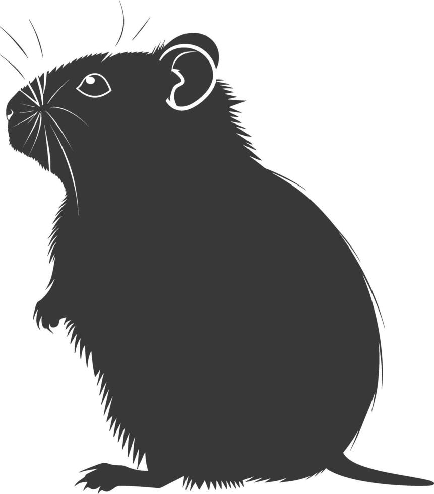 Silhouette Hamster Tier schwarz Farbe nur voll Körper vektor