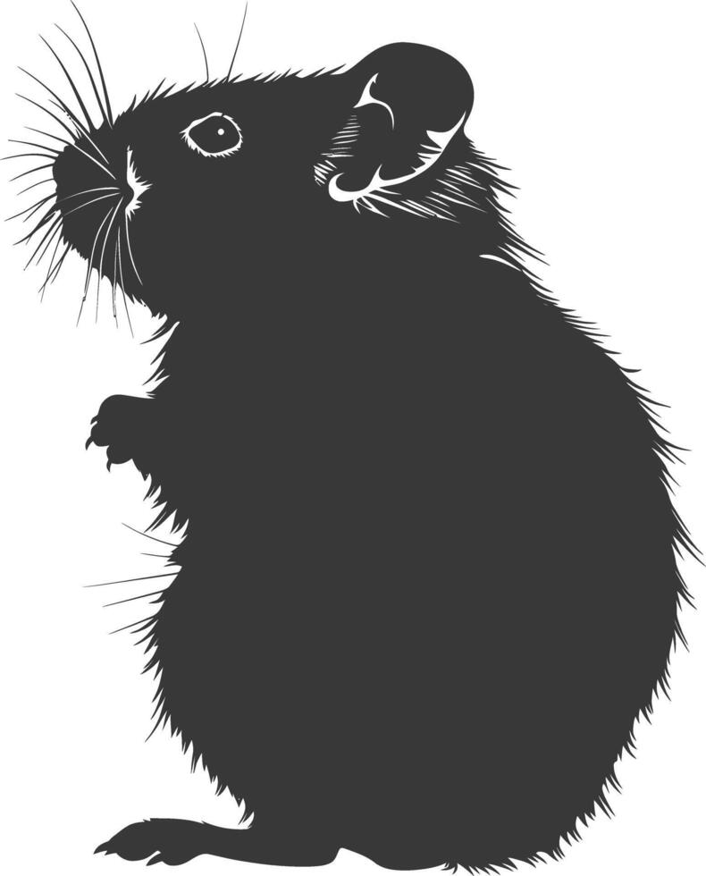 Silhouette Hamster Tier schwarz Farbe nur voll Körper vektor