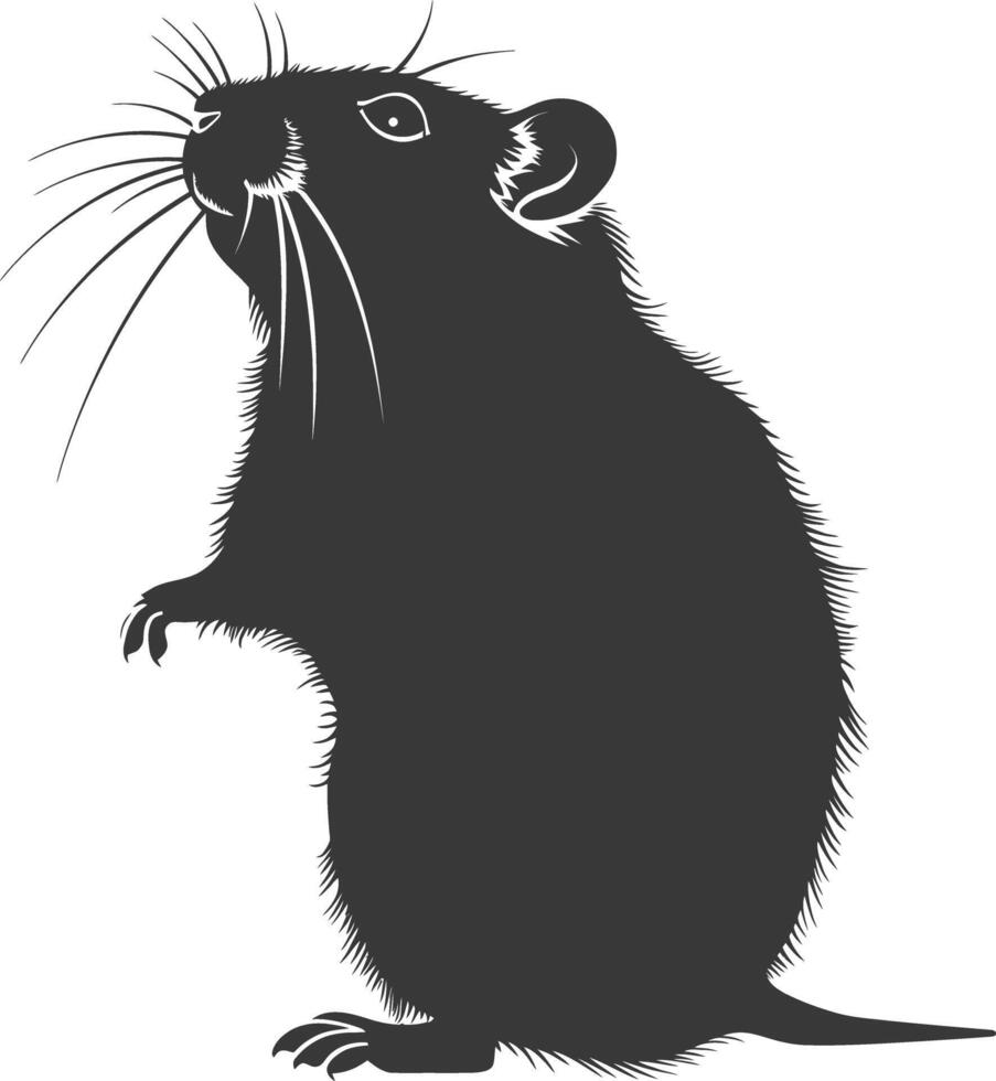 Silhouette Hamster Tier schwarz Farbe nur voll Körper vektor