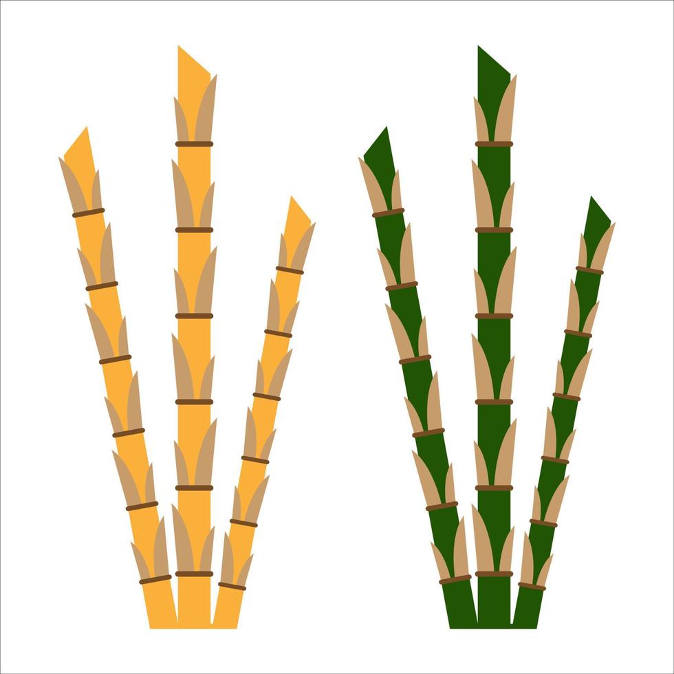 bambu växt platt design illustration vektor