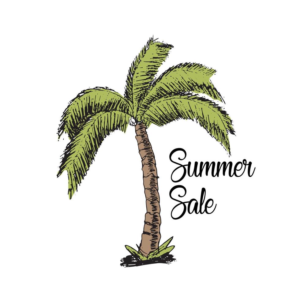 Handzeichnung der Palme im Sommerschlussverkauf vektor