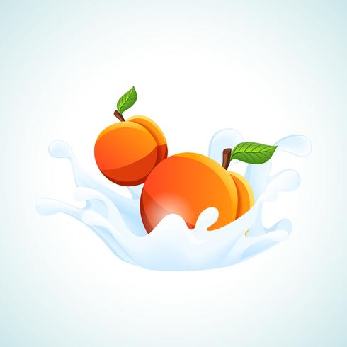Aprikosen im Milchspritzen vektor
